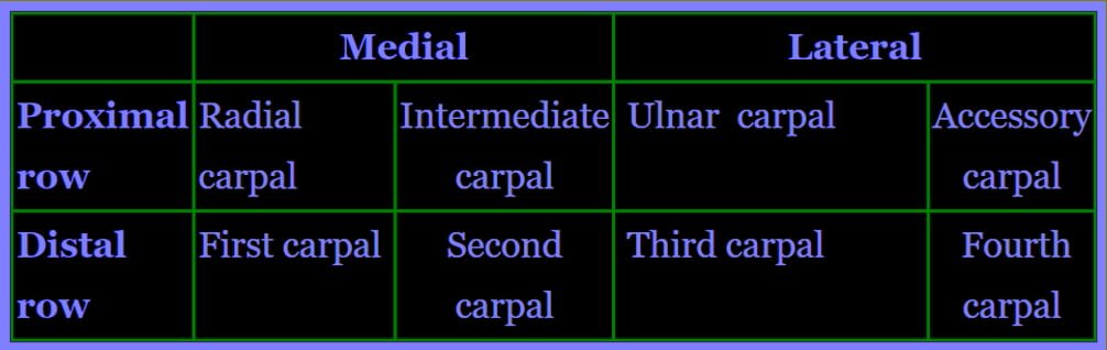 Arrangement of Carpal bones in Pig - vetscraft