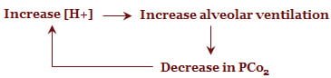 Respiratory regulation of acid base balance