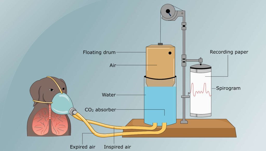 Pulmonary Volumes and Capacities - Spirometer