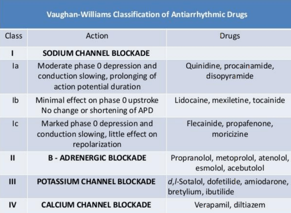 cardiac action potential drugs