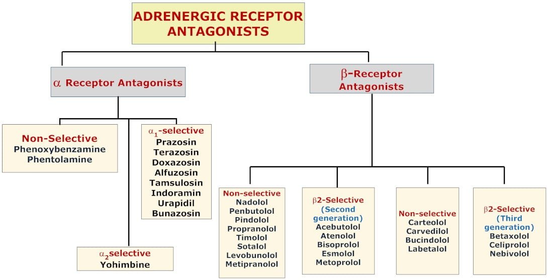 Adrenergic antagonists in animals | Veterinary Pharmacology