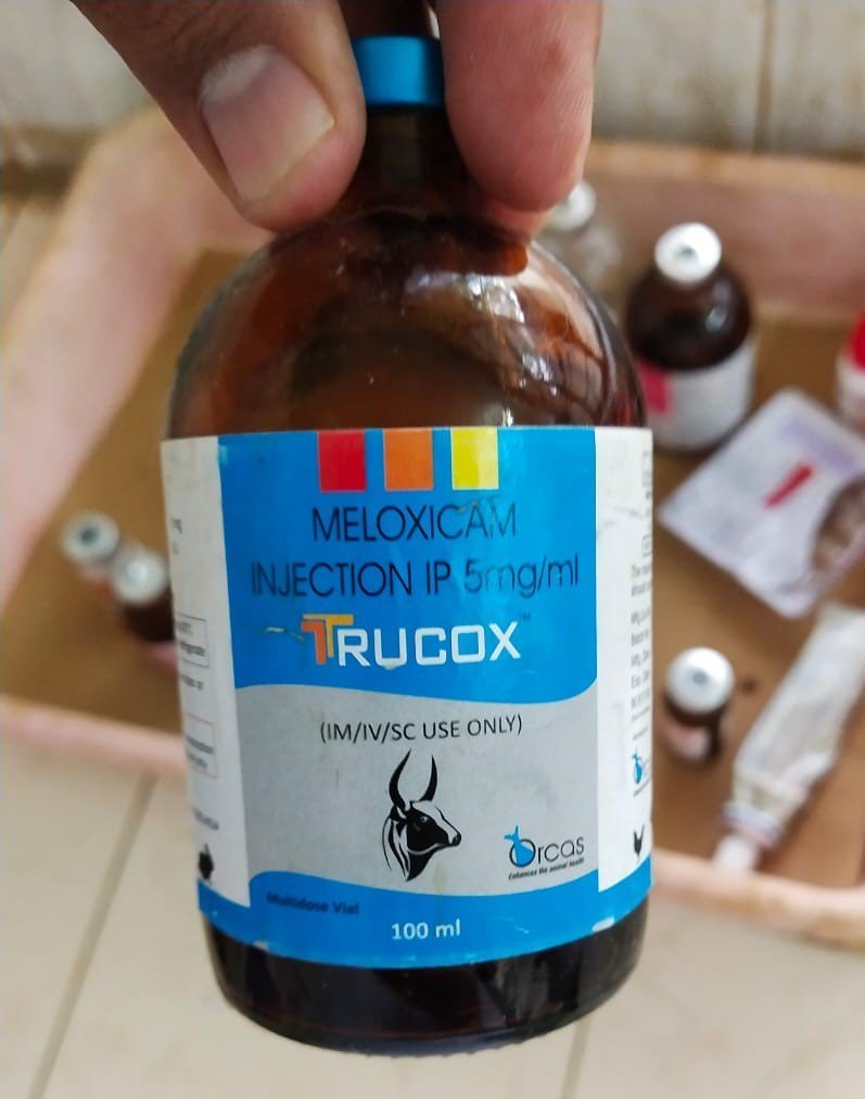 Meloxicam - vet medicine - vetscraft