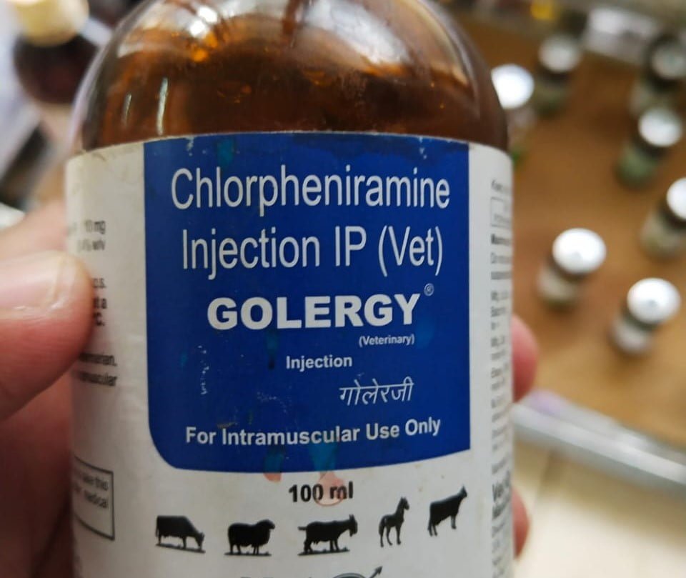 Chlorpheniramine Maleate for Animals