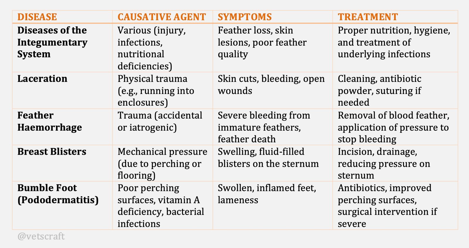 Common Diseases of Pet Birds