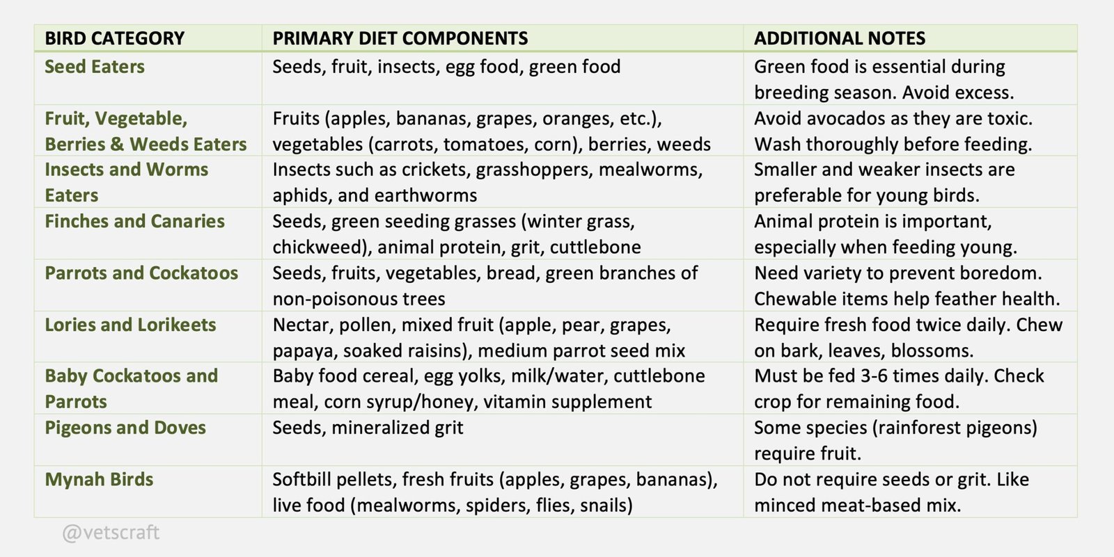 Common Primary Diets for Different Categories of Pet Birds