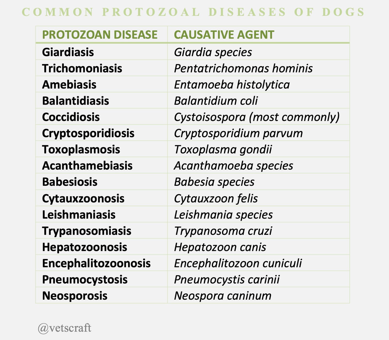 Common Protozoal Diseases of Dogs