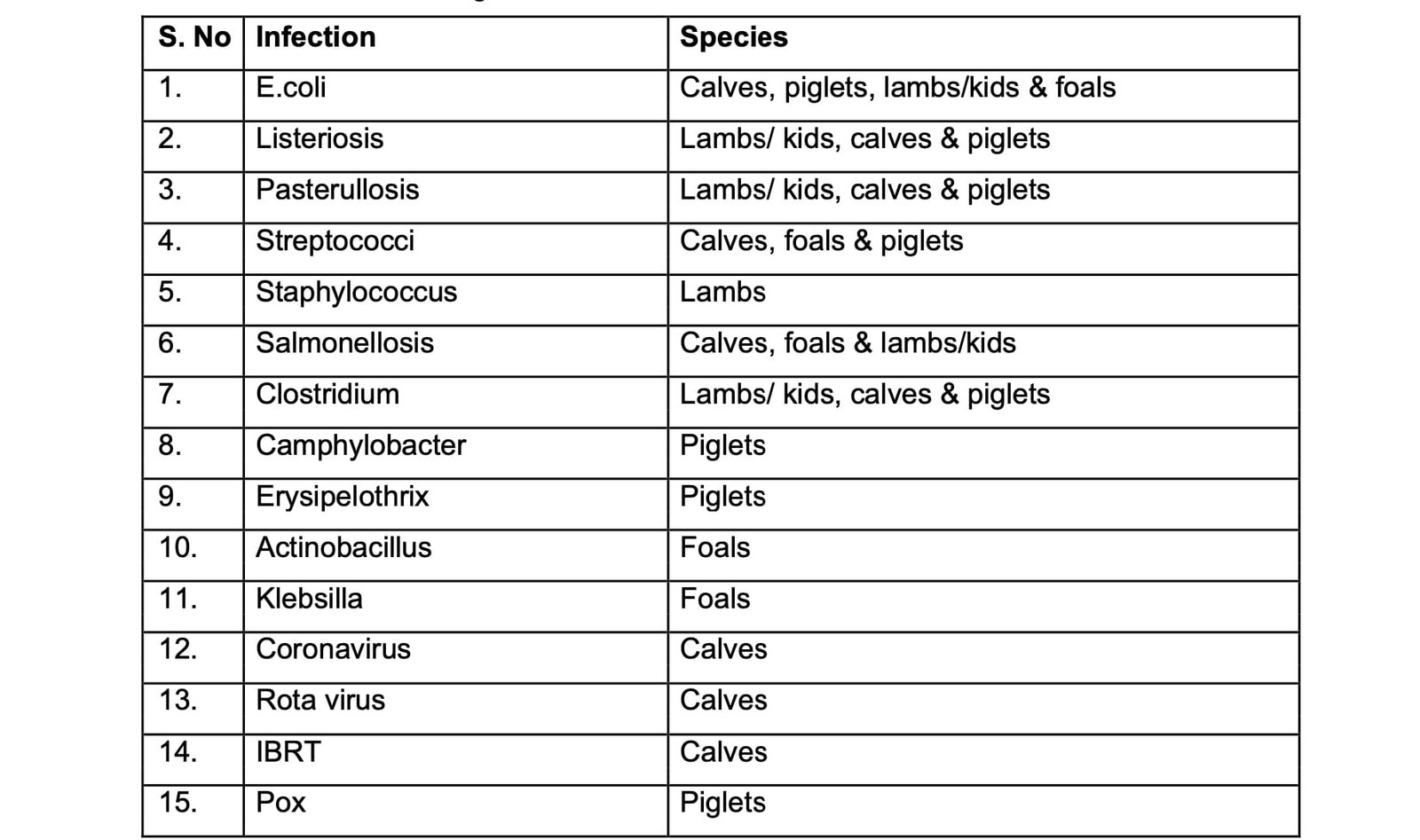 Common infectious agents to cause neonatal infection in Animals