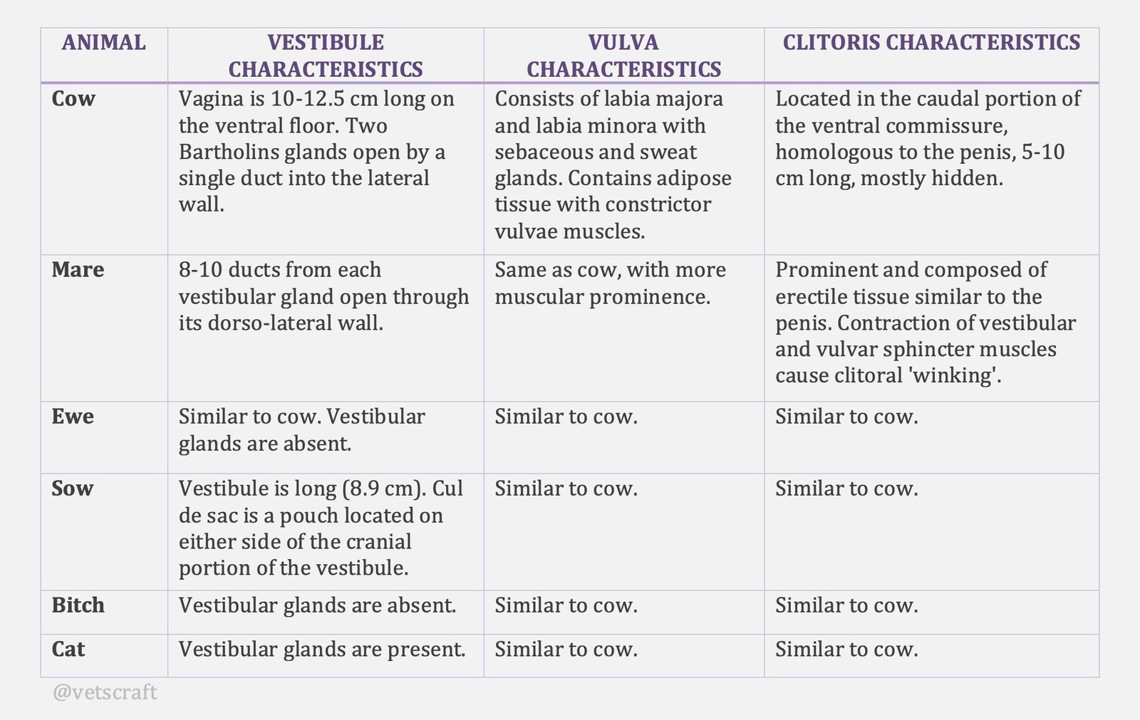 Comparative Anatomy of the Vestibule, Vulva, and Clitoris in Different Animal Species