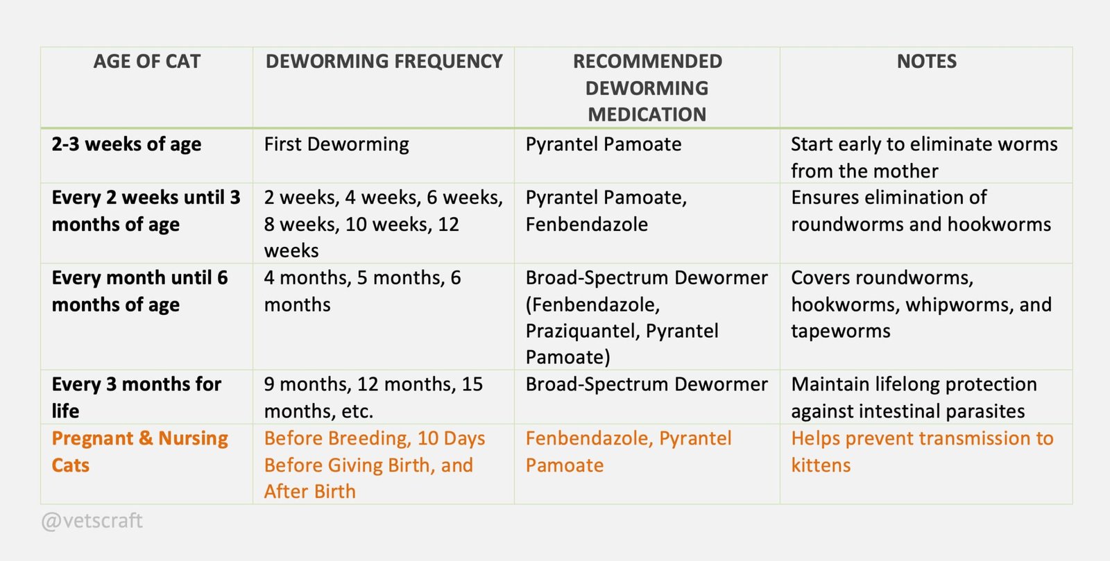 Deworming Schedule for Cats