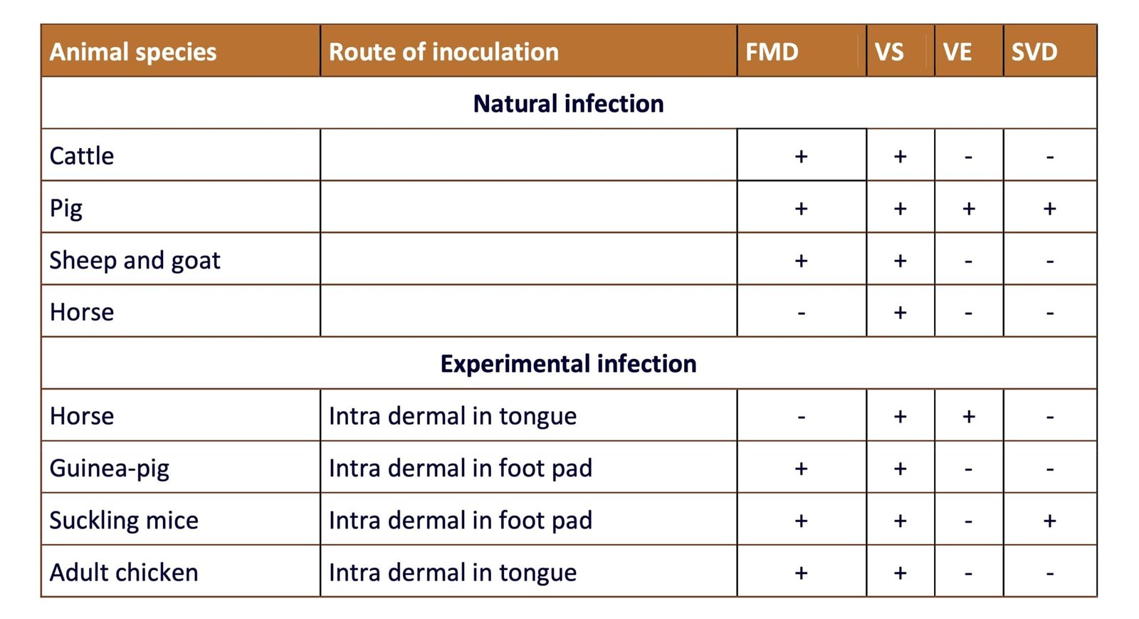 Differential Diagnosis of Foot and Mouth Disease