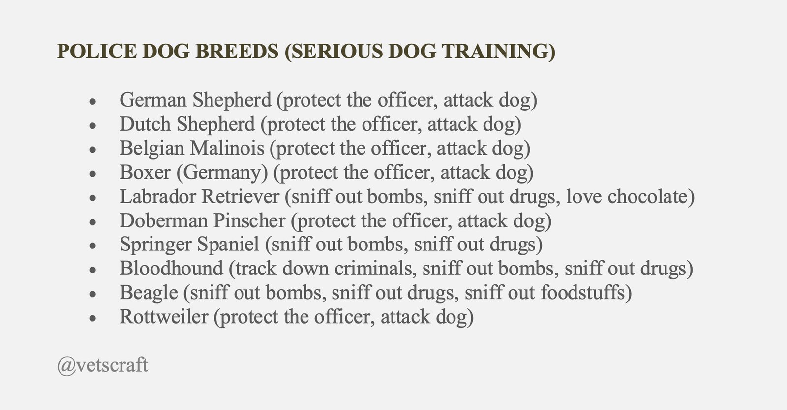 Dog Breeds for Serious Training for Police Work