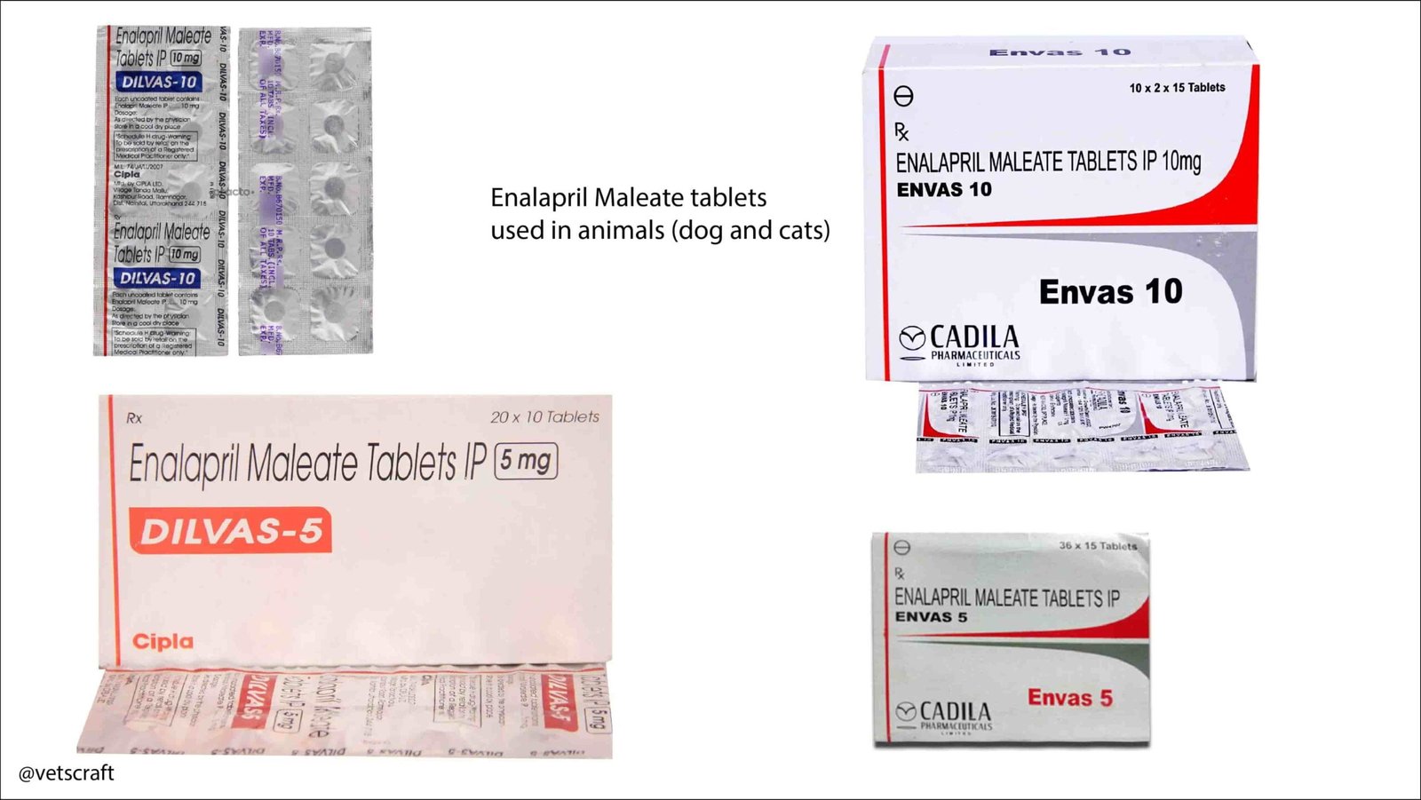 Enalapril Maleate (Envas 5mg, Envas 10mg, Dilvas 5mg and Dilvas 10mg) for Animals (especially for cat and Dogs)