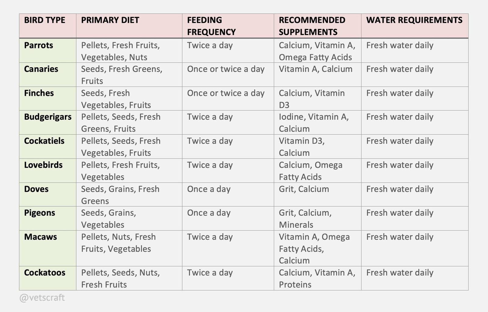 Feeding Management of Pet Birds (Feed type, Frequency, Supplements and Water Requirement)