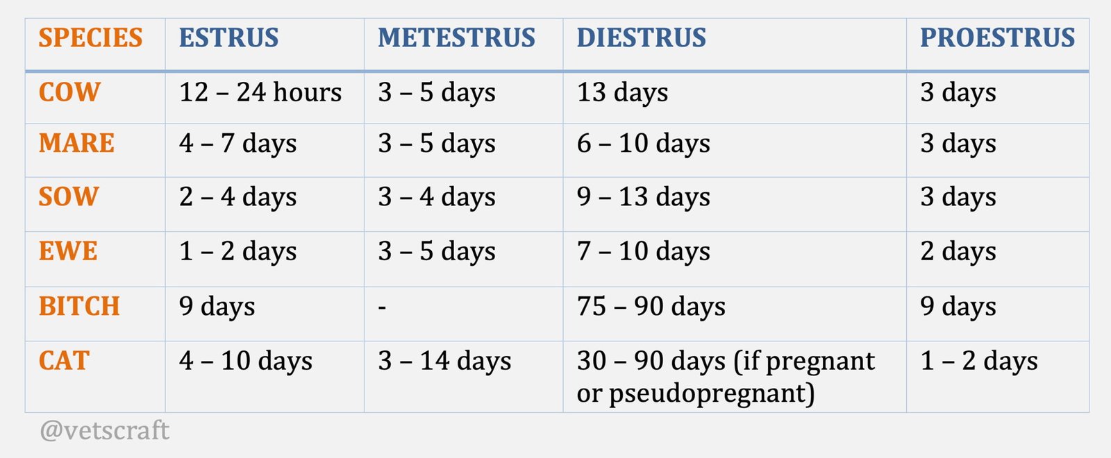 Oestrus Cycle Phases in Different Animal Species