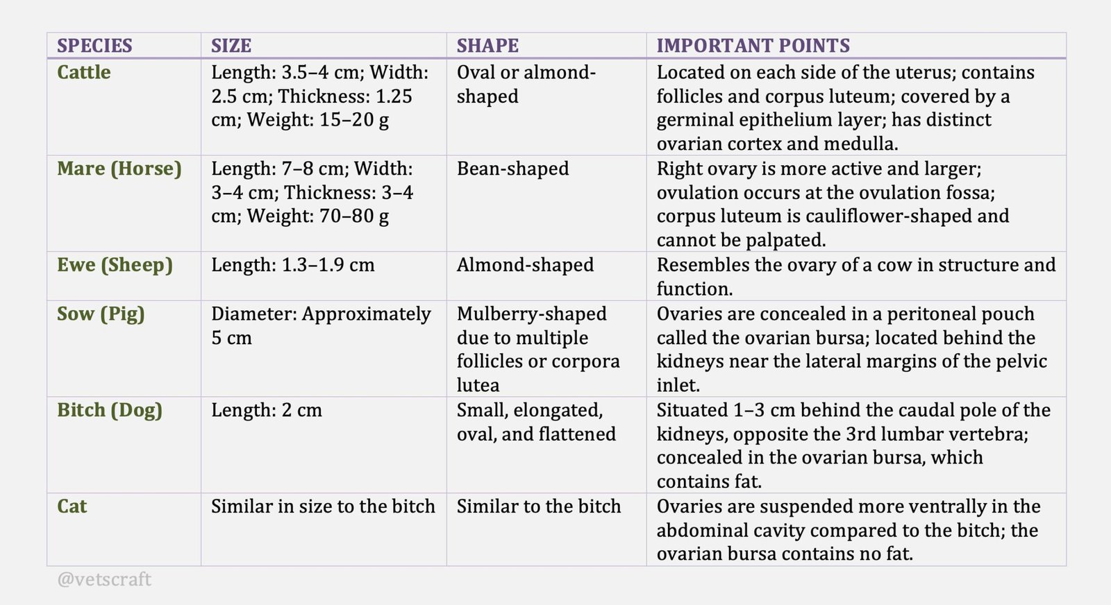 Ovaries of Animals (Cattle, Horse, Sheep, Goat, Pig, Dog and Cat)