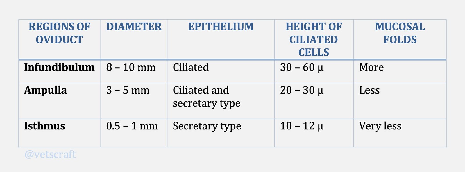 Regions, Diameter, Epithelium, Height of Ciliated Cells, Mucosal Folds of Oviduct (Oviduct (Egg tube) Role in Reproduction)