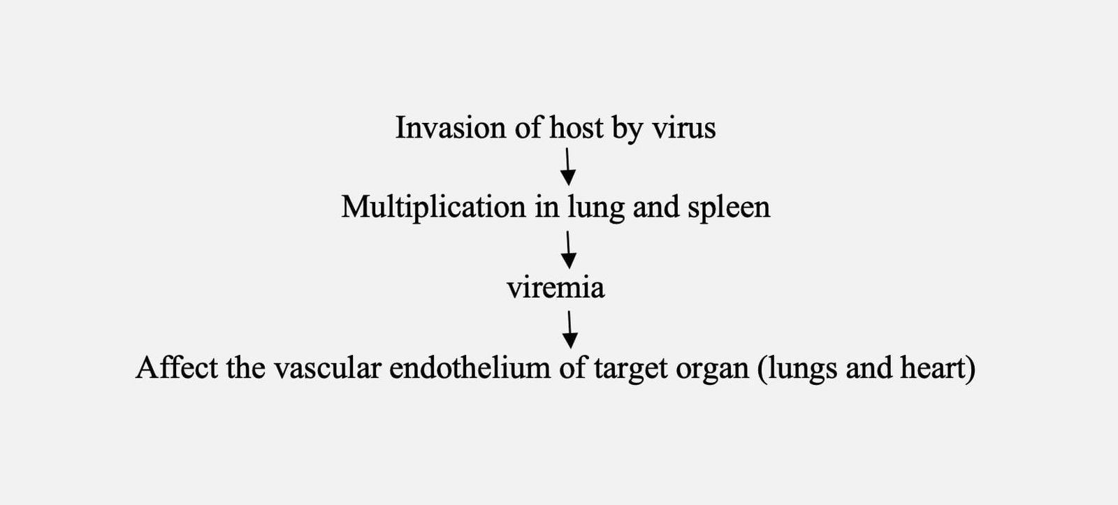 Pathogenesis of African Horse Sickness (AHS)