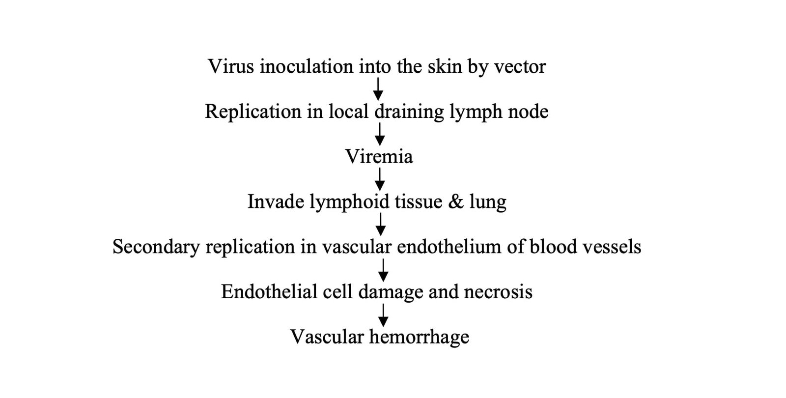 Pathogenesis of Blue Tongue (BT)