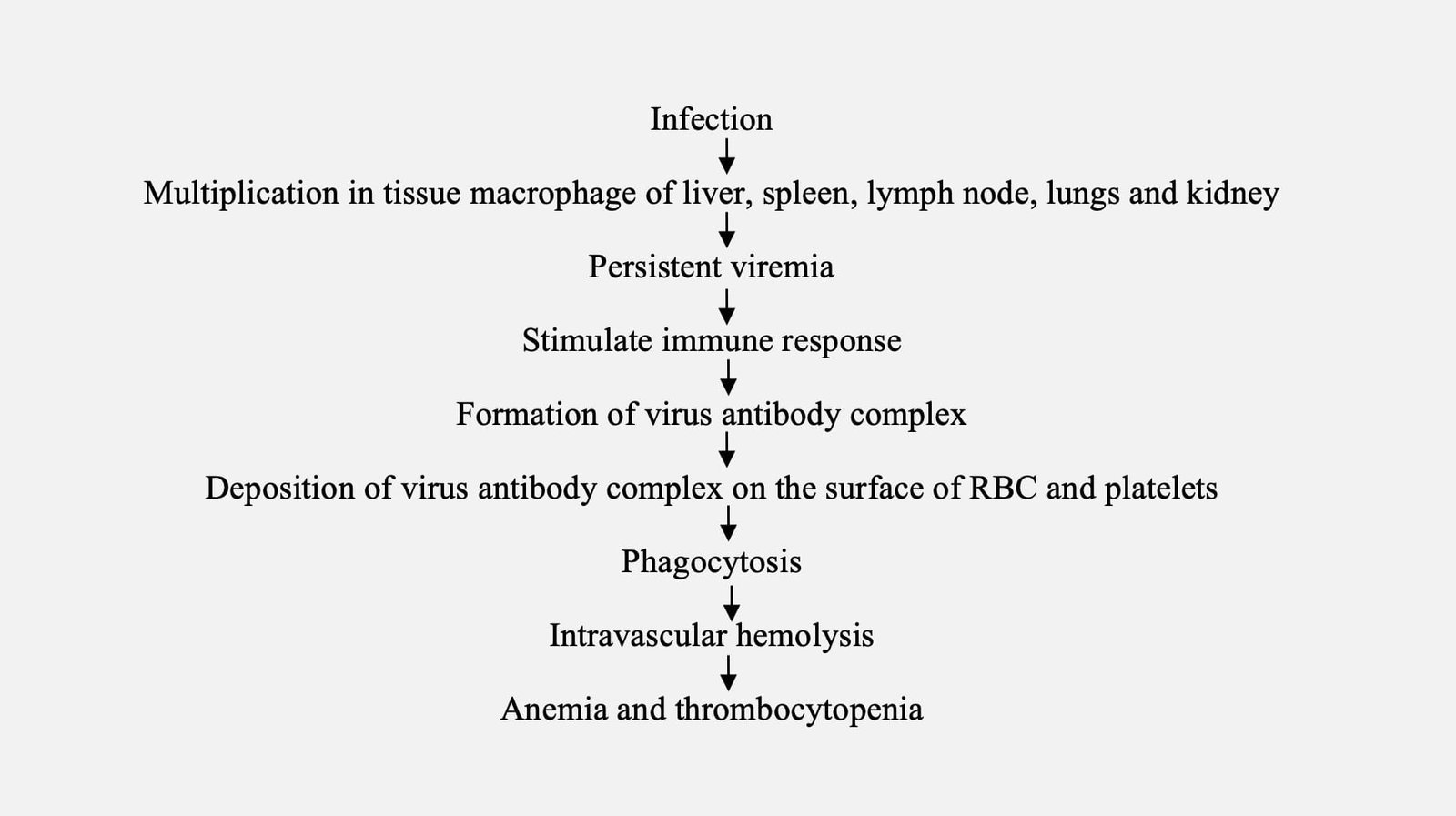 Pathogenesis of Equine Infectious Anaemia (Swamp Fever)