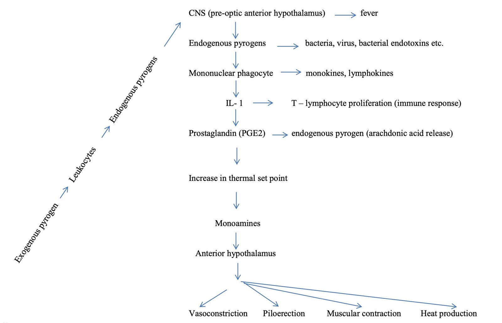 Pathogenesis of Fever in animals by vetscraft