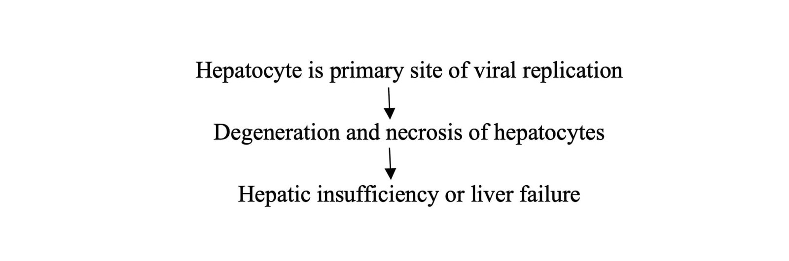 Pathogenesis of Rift Valley Fever (RVF)