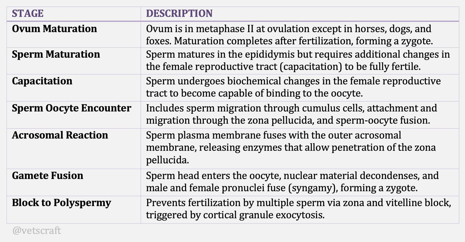 Process of Fertilization