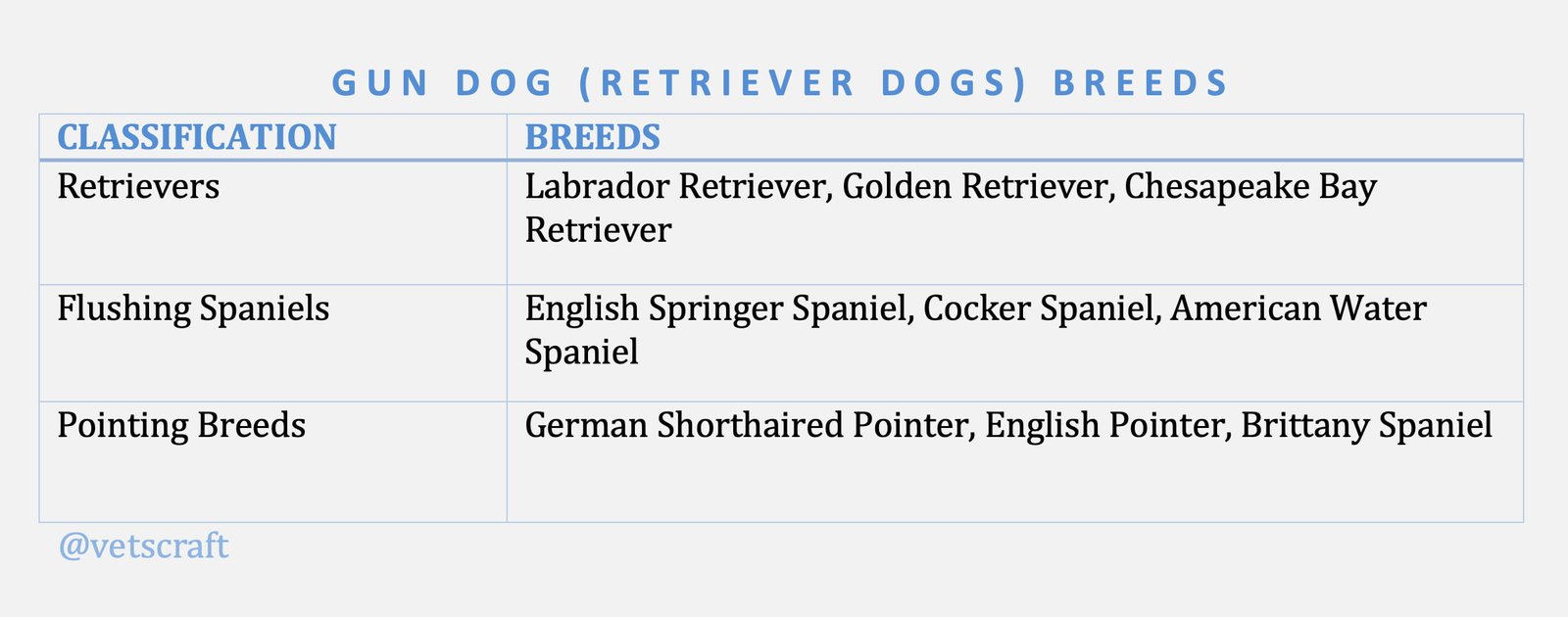 Retriever Dogs (Gun Dogs) Breeds