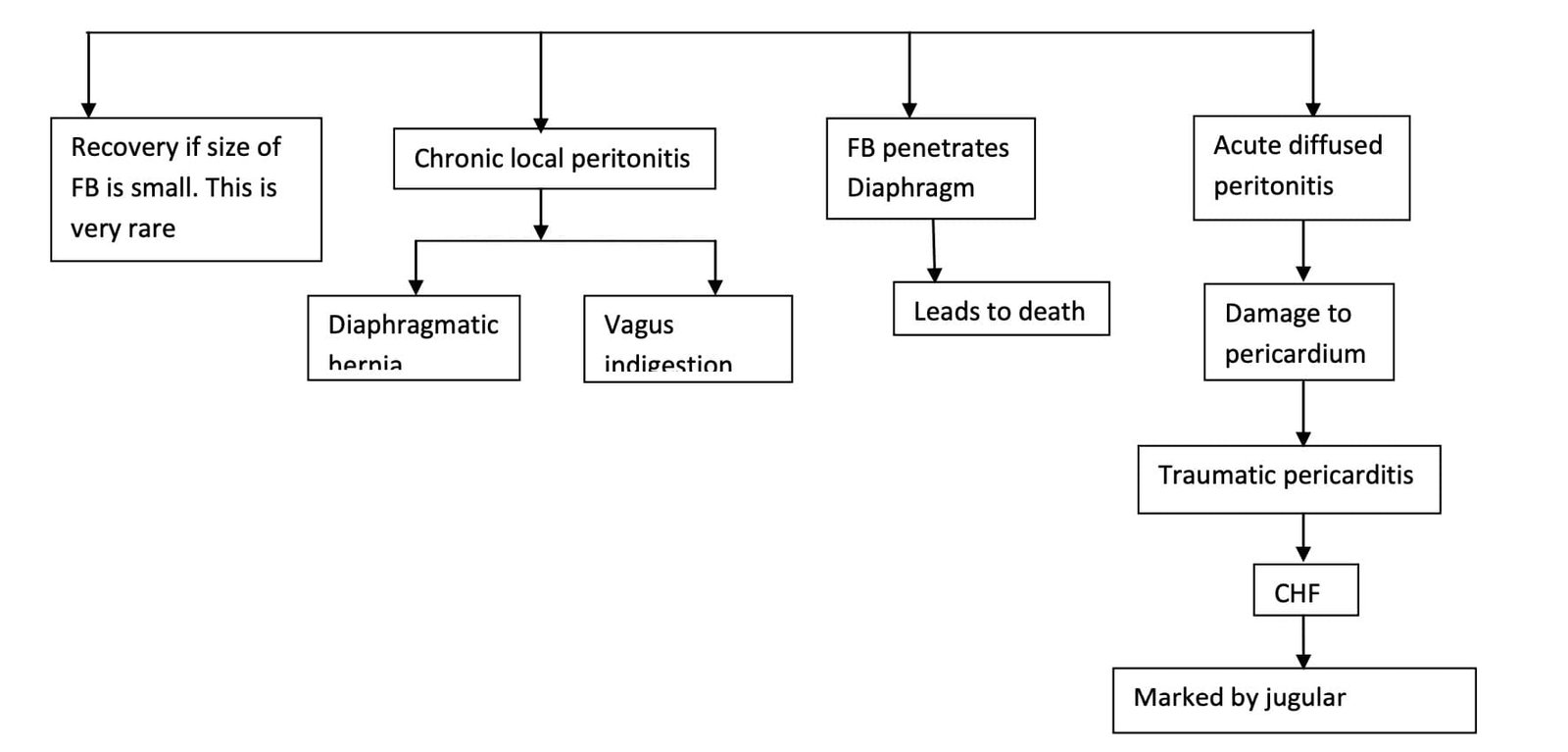 Sequalle of ingested foreign body in the Traumatic Reticulo Peritonitis (TRP) in animals