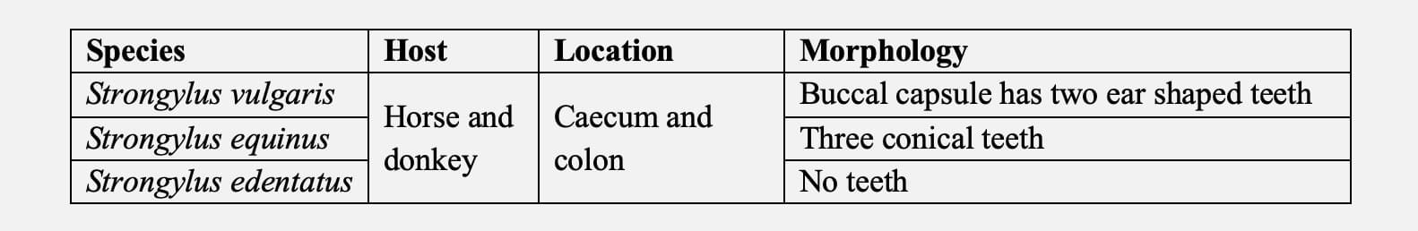 Strongylosis causing species, host, location and morphology