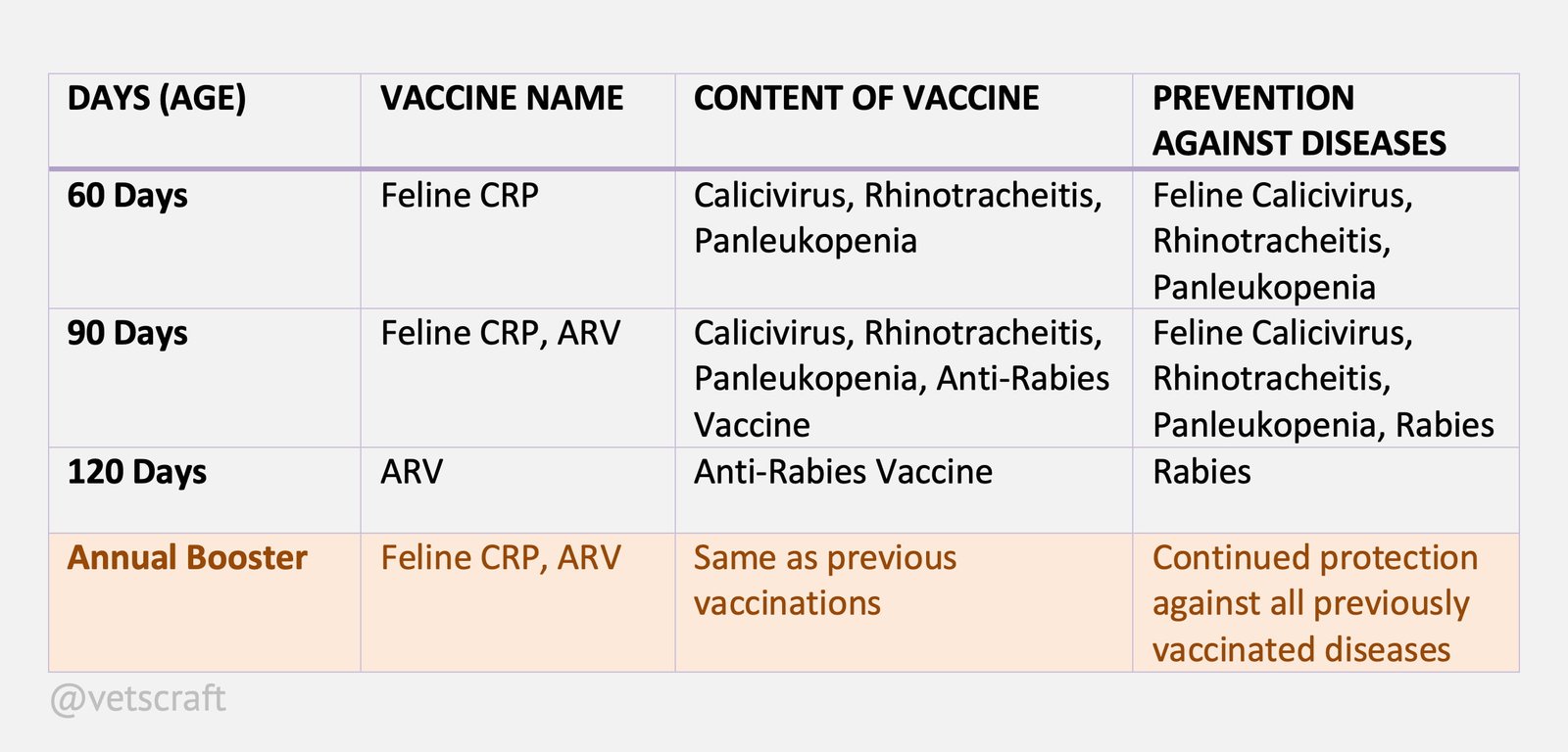 Vaccination Schedule for Cats