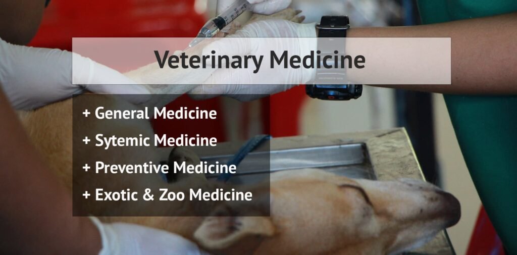 Veterinary Medicine | 4th Year BVSc And AH Notes