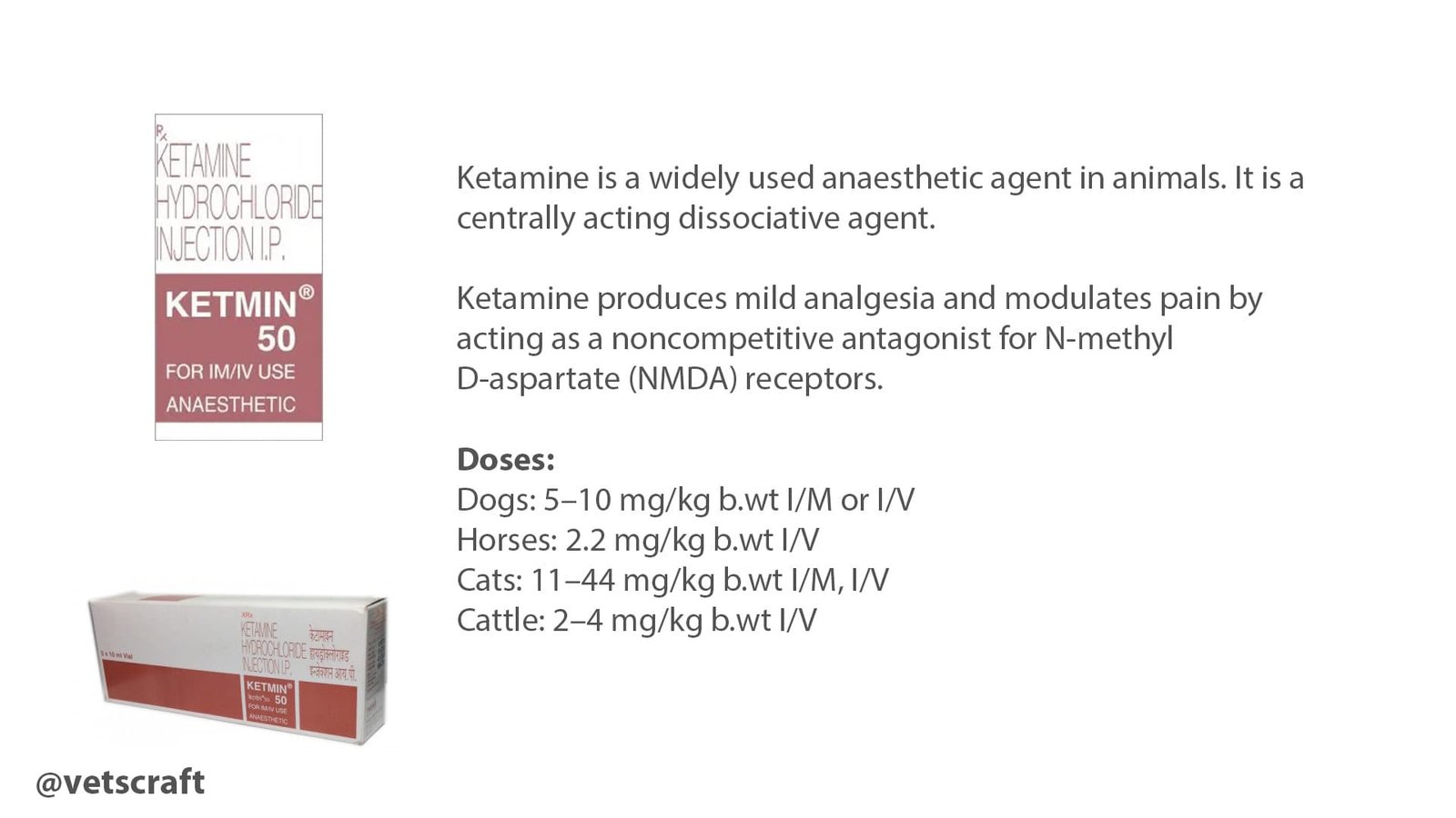 Ketamine For Animals Dog Cat Horse Cattle Pig Sheep Goats   About Ketamine For Animals 